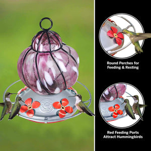 Caged Pink Flower - Hummingbird Feeder - Hand Blown Glass - 16 Fluid Ounces - Free Accessory Pack! Hummingbird Feeders Grateful Gnome 