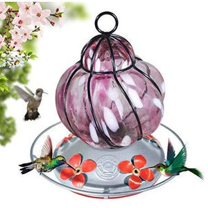 Caged Pink Flower - Hummingbird Feeder - Hand Blown Glass - 16 Fluid Ounces - Free Accessory Pack! Hummingbird Feeders Grateful Gnome 