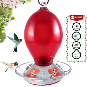 Red Egg Hummingbird Feeder - Hand Blown Glass - 28 Fluid Ounces Hummingbird Feeders Grateful Gnome