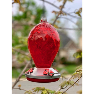 Red Egg Hummingbird Feeder - Hand Blown Glass - 28 Fluid Ounces Hummingbird Feeders Grateful Gnome 