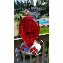 Load image into Gallery viewer, Red Egg Hummingbird Feeder - Hand Blown Glass - 28 Fluid Ounces Hummingbird Feeders Grateful Gnome 