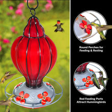 Load image into Gallery viewer, Red Lantern - Hummingbird Feeder - Hand Blown Glass - 28 Fluid Ounces Hummingbird Feeders Grateful Gnome 
