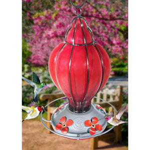 Red Lantern - Hummingbird Feeder - Hand Blown Glass - 28 Fluid Ounces Hummingbird Feeders Grateful Gnome 
