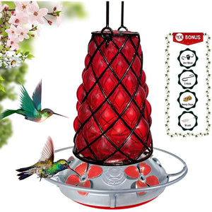 Red SpiderBird Lantern - Hummingbird Feeder - Hand Blown Glass - 28 floz Hummingbird Feeders Grateful Gnome 