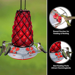 Red SpiderBird Lantern - Hummingbird Feeder - Hand Blown Glass - 28 floz Hummingbird Feeders Grateful Gnome 